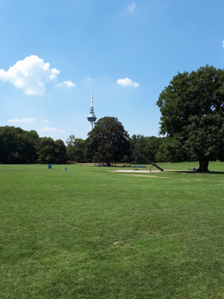 Luisenpark Mannheim große Wiese